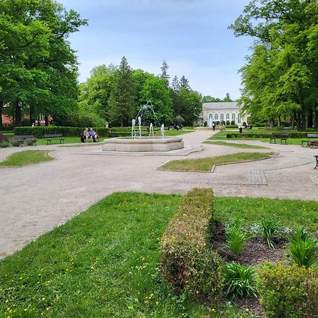 Villa Klara Cieplice Jelenia Góra Buitenkant foto