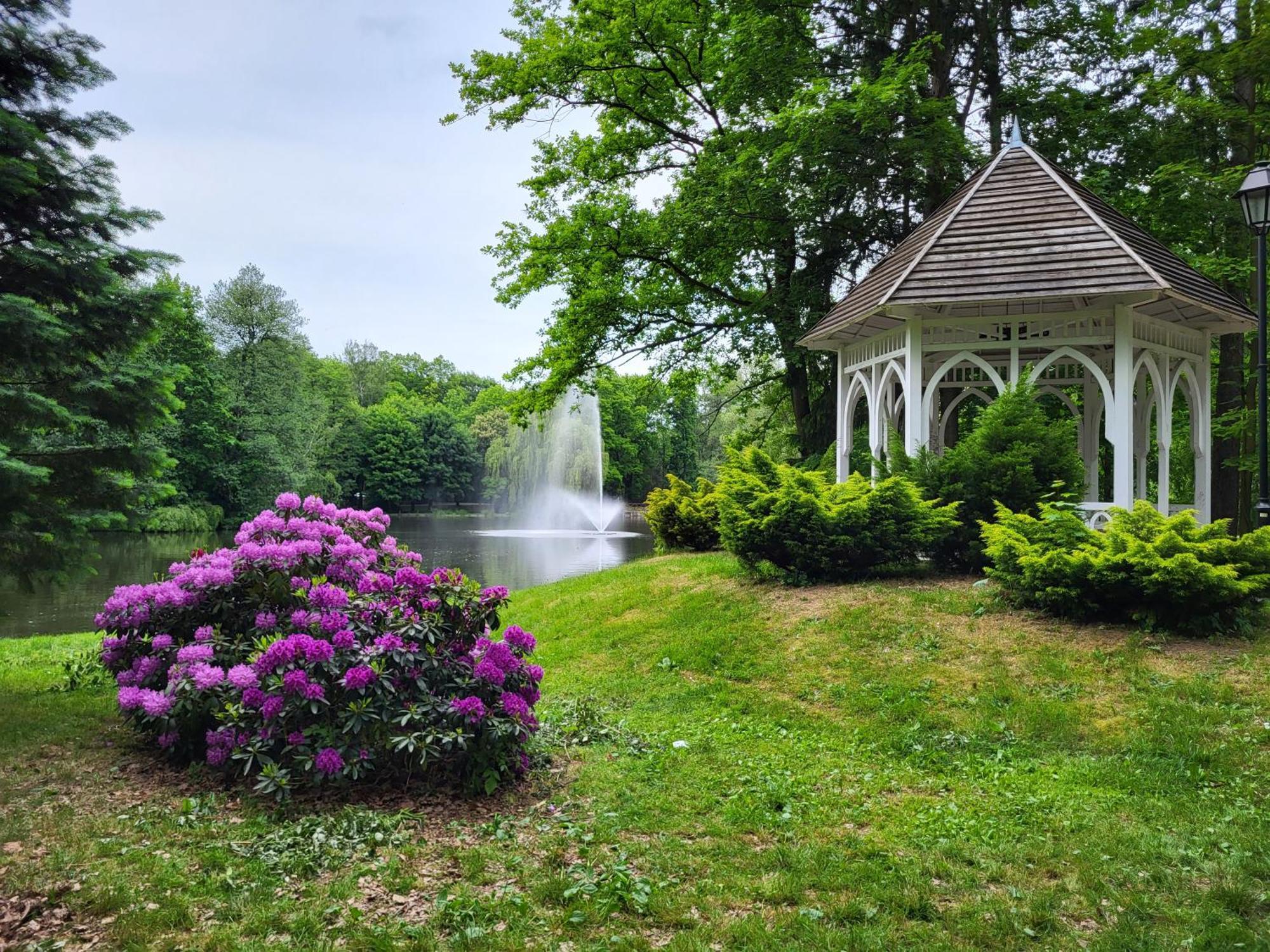 Villa Klara Cieplice Jelenia Góra Buitenkant foto